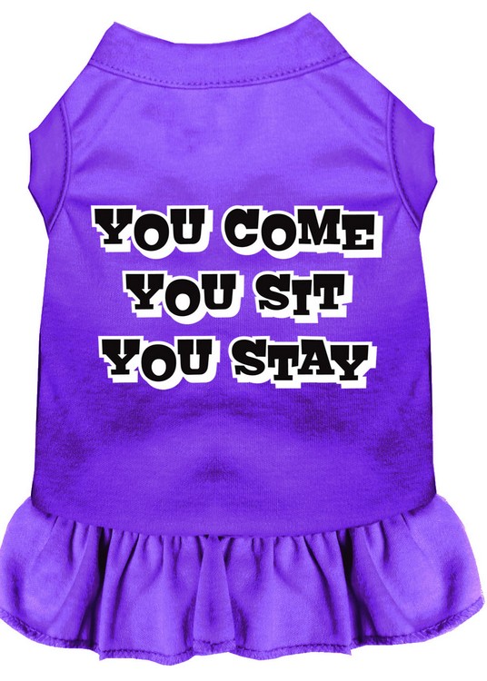 You Come, You Sit, You Stay Screen Print Dress Purple XL